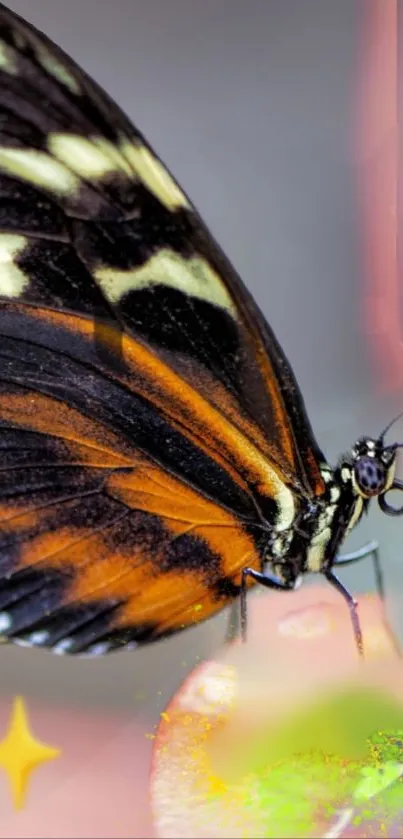 Bright orange and black butterfly on a phone wallpaper with intricate patterns.
