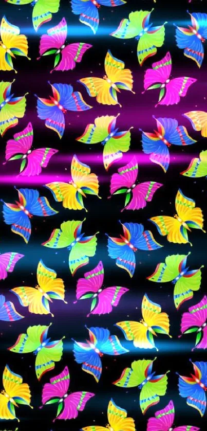 Colorful butterfly wallpaper with black background.