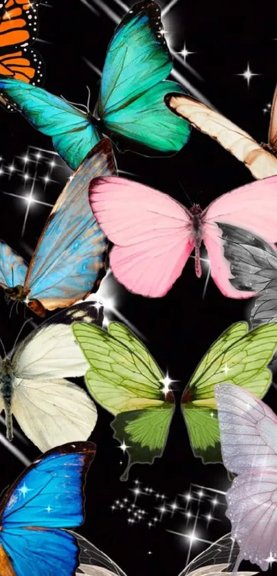 Colorful butterflies on a starry black background wallpaper.