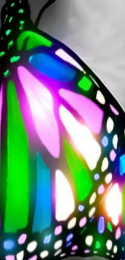 Colorful butterfly wing wallpaper with vibrant hues.