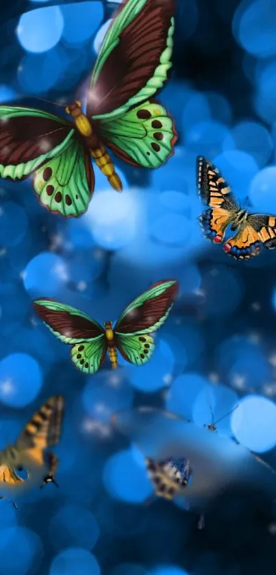 Vibrant blue bokeh wallpaper with colorful butterflies.