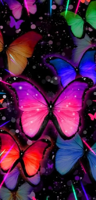 Vibrant butterfly wallpaper with colorful wings on a purple background.