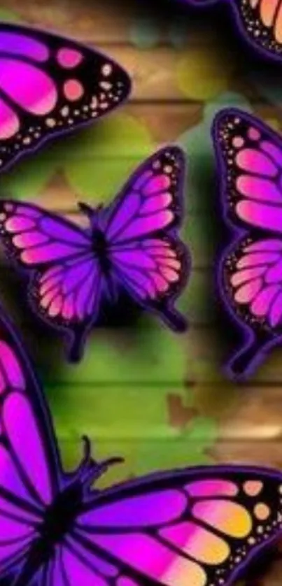 Vibrant purple butterfly wallpaper for mobile.