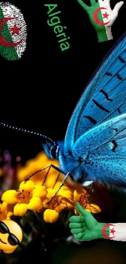 Blue butterfly on yellow flowers, Algerian theme.