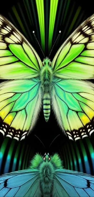 Vibrant butterfly artwork with bright colors.