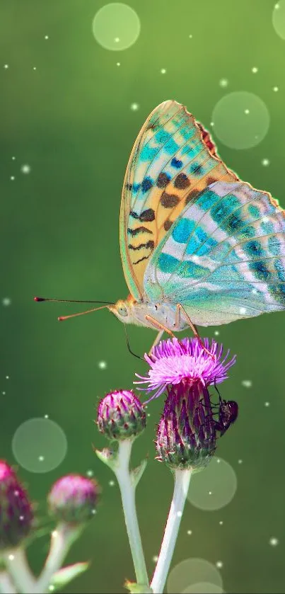 Vibrant butterfly on flower with green background.