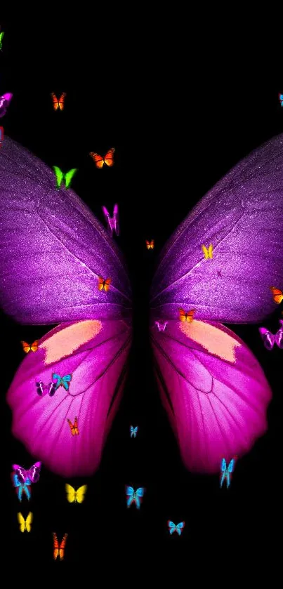 A vibrant purple butterfly artwork with colorful accents on a black background.