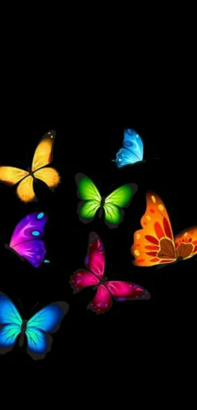 Vibrant butterfly wallpaper with colorful butterflies on a black background.