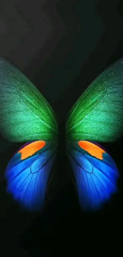 Butterfly with green and blue wings on a dark background.