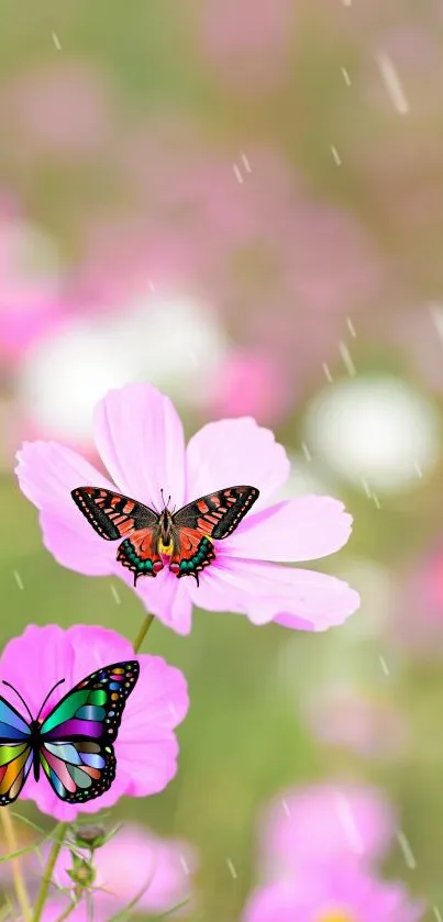 Colorful butterflies on pink flowers with raindrops in a vibrant phone wallpaper.