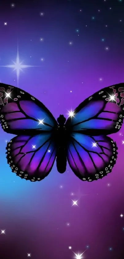 Vibrant purple and blue butterfly wallpaper for mobile.