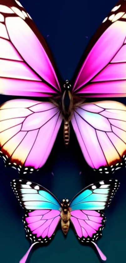 Vibrant pink and blue butterfly wallpaper with stunning wing patterns.