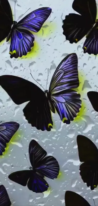 Dark butterflies with raindrop background on wallpaper.