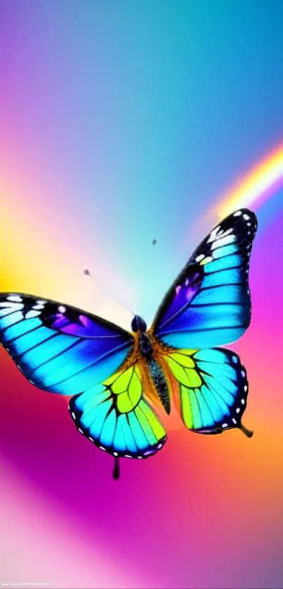 Vivid blue butterfly on a rainbow gradient background.