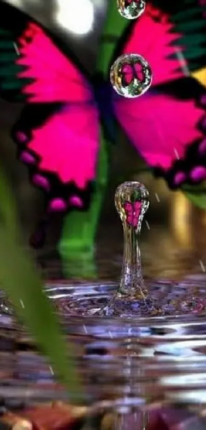 Vibrant butterfly reflected in water with bamboo backdrop.