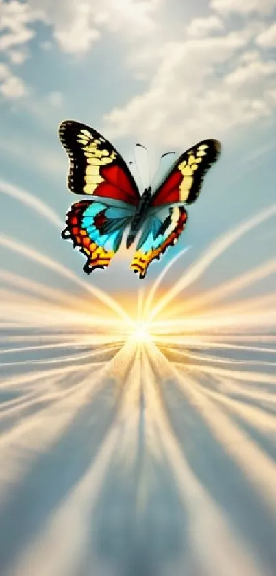 Colorful butterfly flying in the sky with sunlit background.