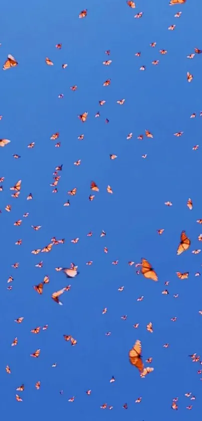 Orange butterflies flutter against a vivid blue sky.