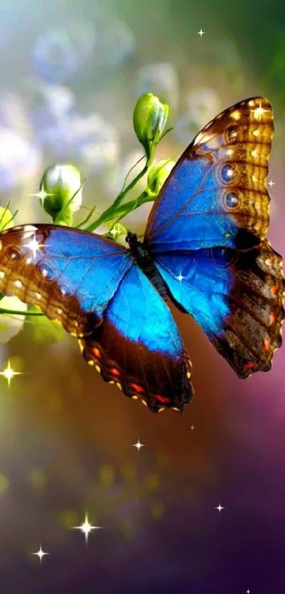 A vibrant butterfly with blue wings on lush green foliage.