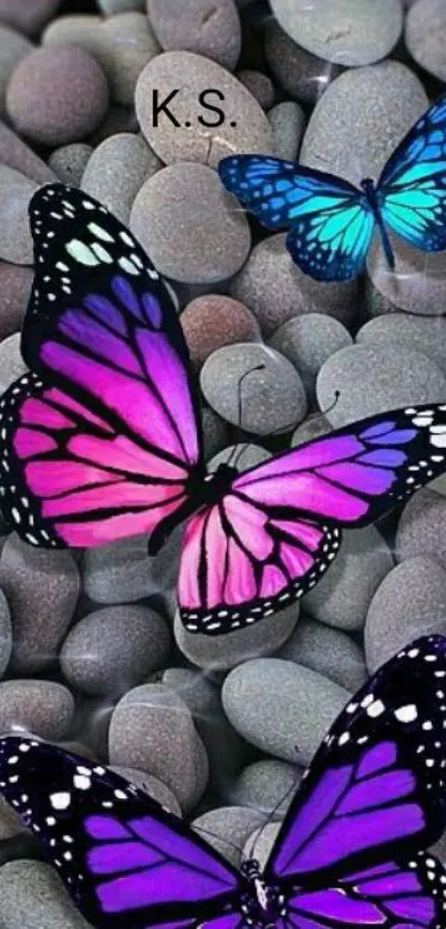 Vibrant butterflies resting on stones.