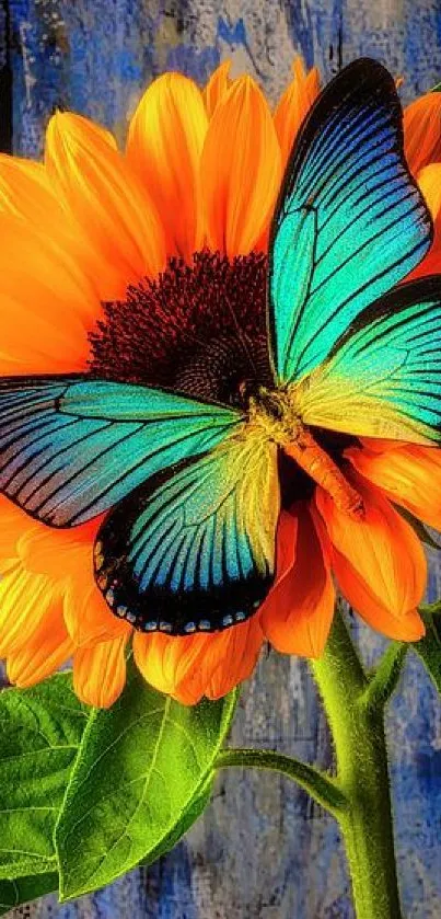 Blue butterfly on an orange sunflower with a vibrant green background.