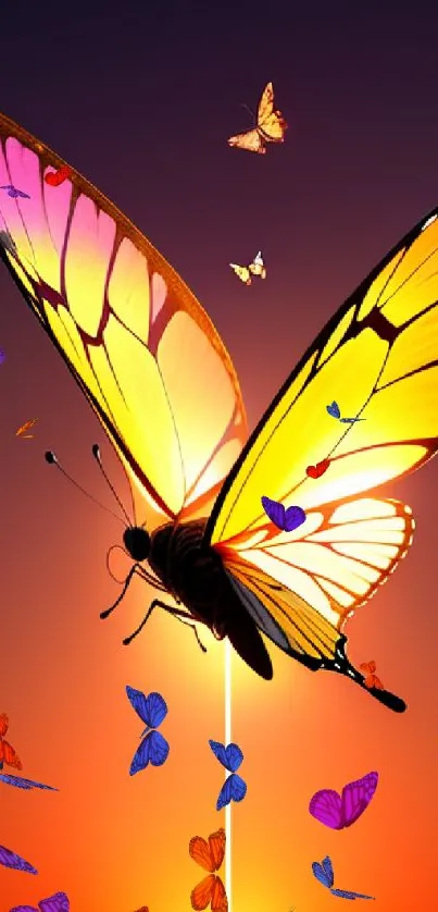 Vibrant butterfly with sunset glow on mobile wallpaper.