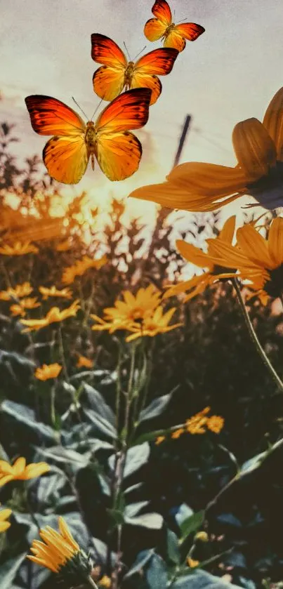 Orange butterflies and yellow flowers at sunset.