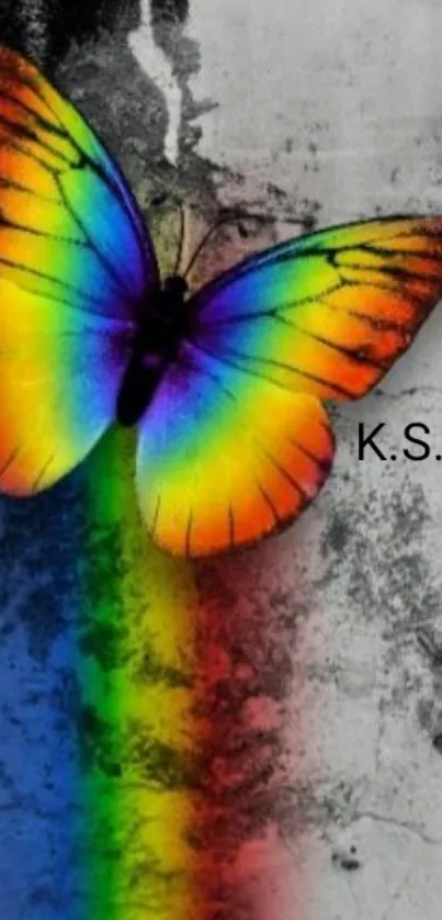 Colorful butterfly with rainbow wings on gray background.