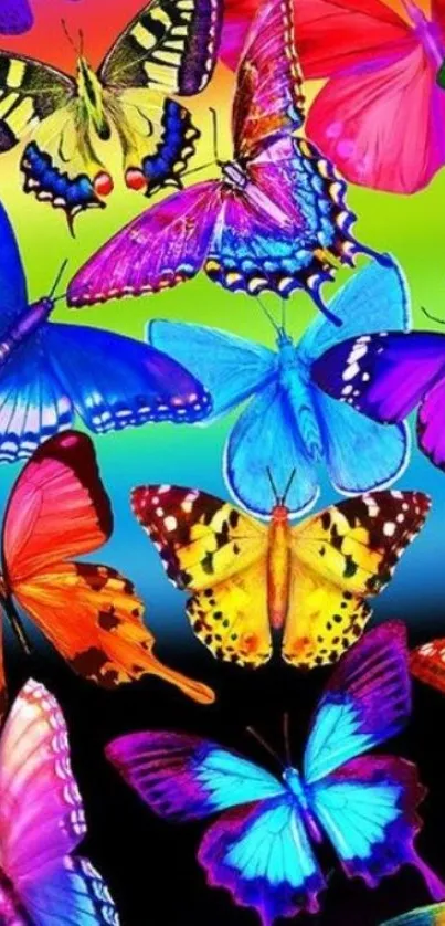 Vibrant butterfly wallpaper with colorful, vivid patterns on a mobile screen.