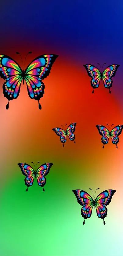 Vibrant butterfly wallpaper with colorful gradient background.