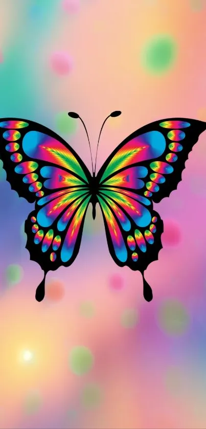 Vibrant butterfly on a colorful gradient background mobile wallpaper.