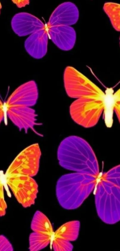 Vibrant neon butterflies on black background wallpaper.