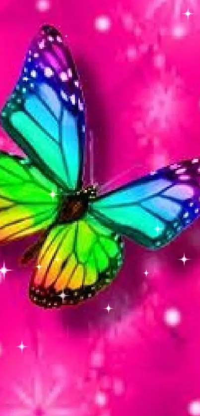 Colorful butterfly on a vibrant pink background.