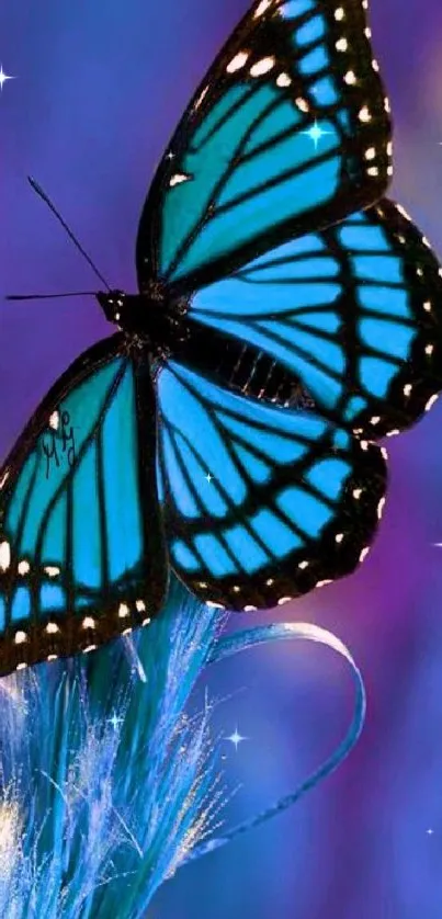 Vibrant blue butterfly perched on colorful background.