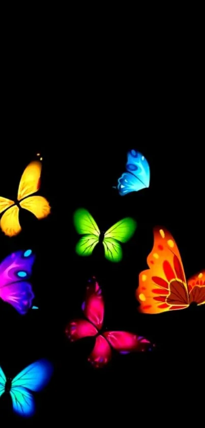 Vibrant butterflies on a black background mobile wallpaper.