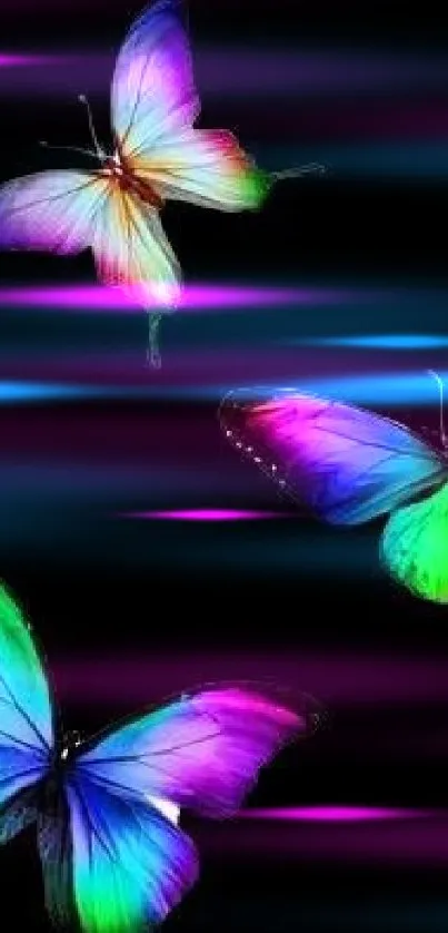 Three vibrant butterflies on black background wallpaper.