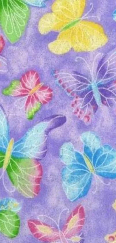 Colorful butterfly wallpaper with purple background.