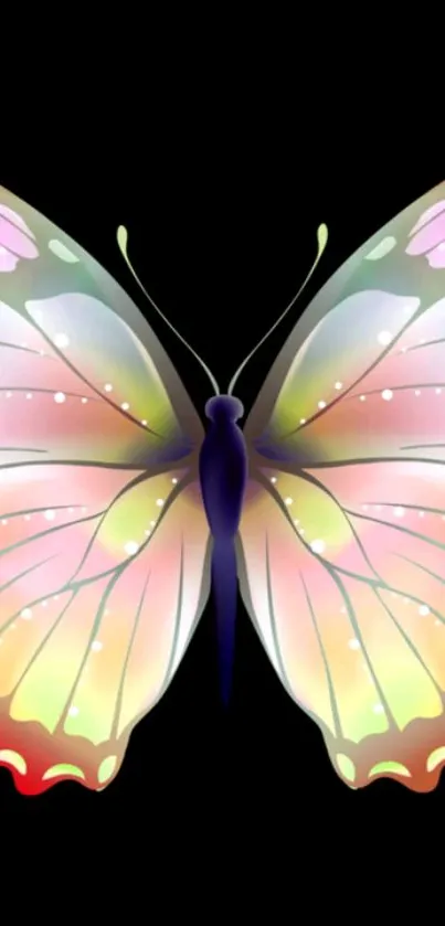 Vibrant butterfly with pastel wings on black background.