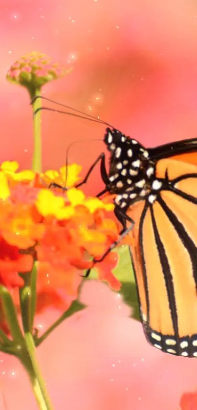 Vibrant butterfly resting on colorful flowers in nature.