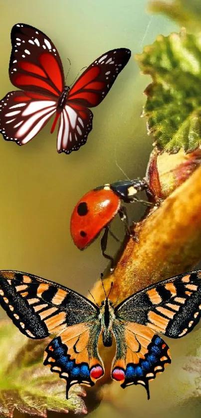 Vibrant wallpaper with butterflies and ladybug.