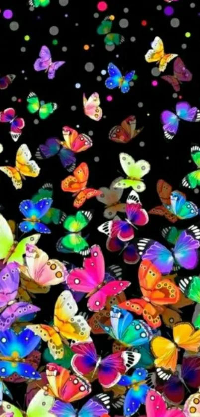 Colorful butterfly wallpaper on black background