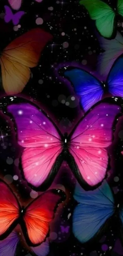 Vibrant butterfly wallpaper with colorful patterns on a dark background.