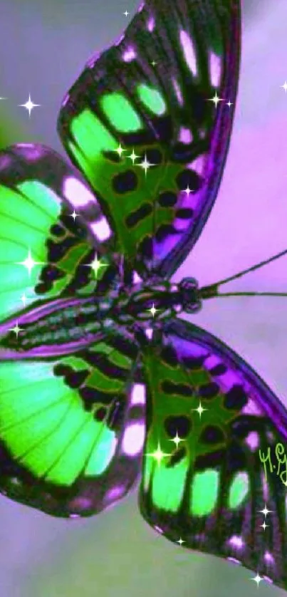 Vibrant green and purple butterfly wallpaper with elegant, exotic design.