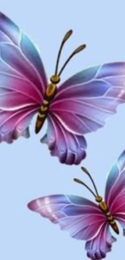 Vibrant purple and blue butterfly wallpaper for mobile.