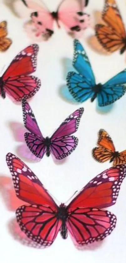 Colorful butterflies on white background mobile wallpaper.