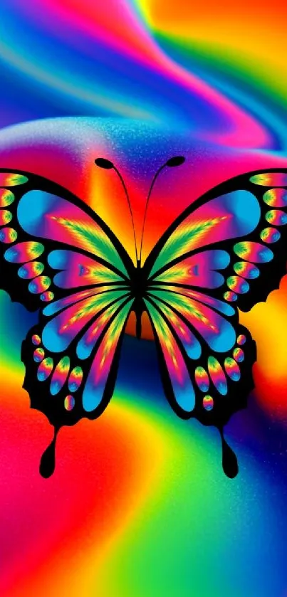 Colorful rainbow butterfly wallpaper with vibrant hues.