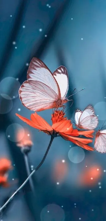 Butterflies resting on orange flowers against a blurred blue background.