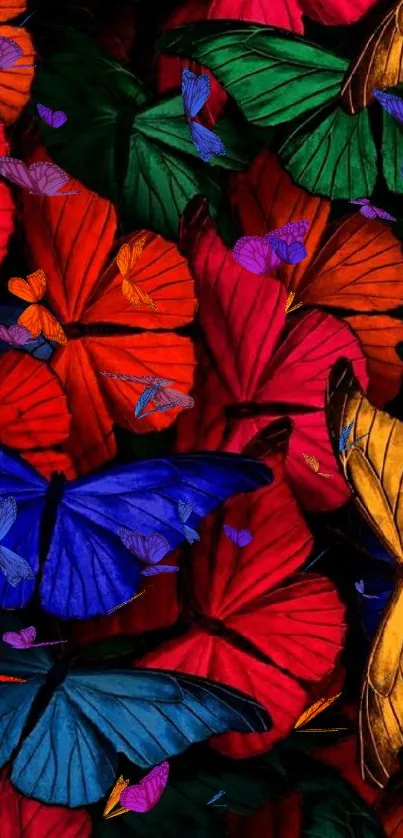 Colorful butterfly wallpaper with red, blue, green hues.