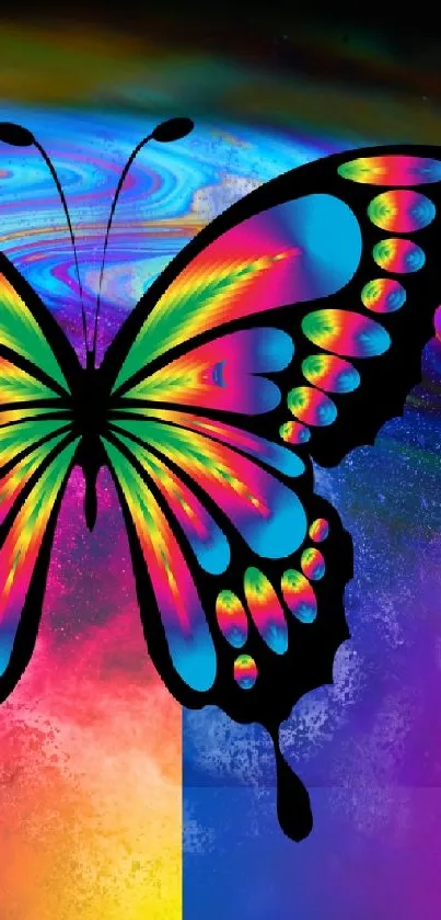 Vibrant butterfly on colorful abstract background.