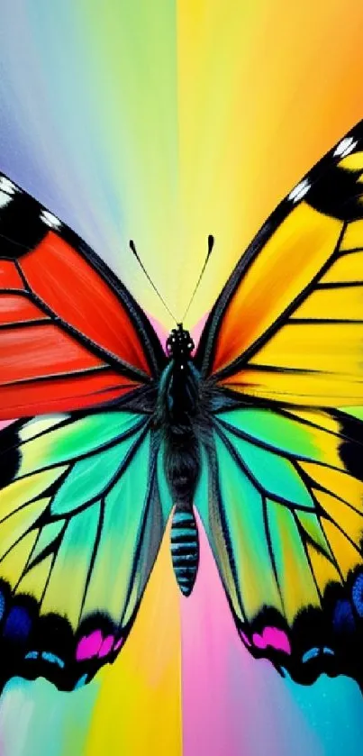 Colorful butterfly with vibrant background.