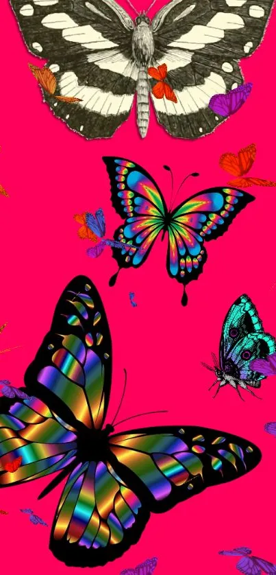 Vibrant butterflies on a bright pink background.